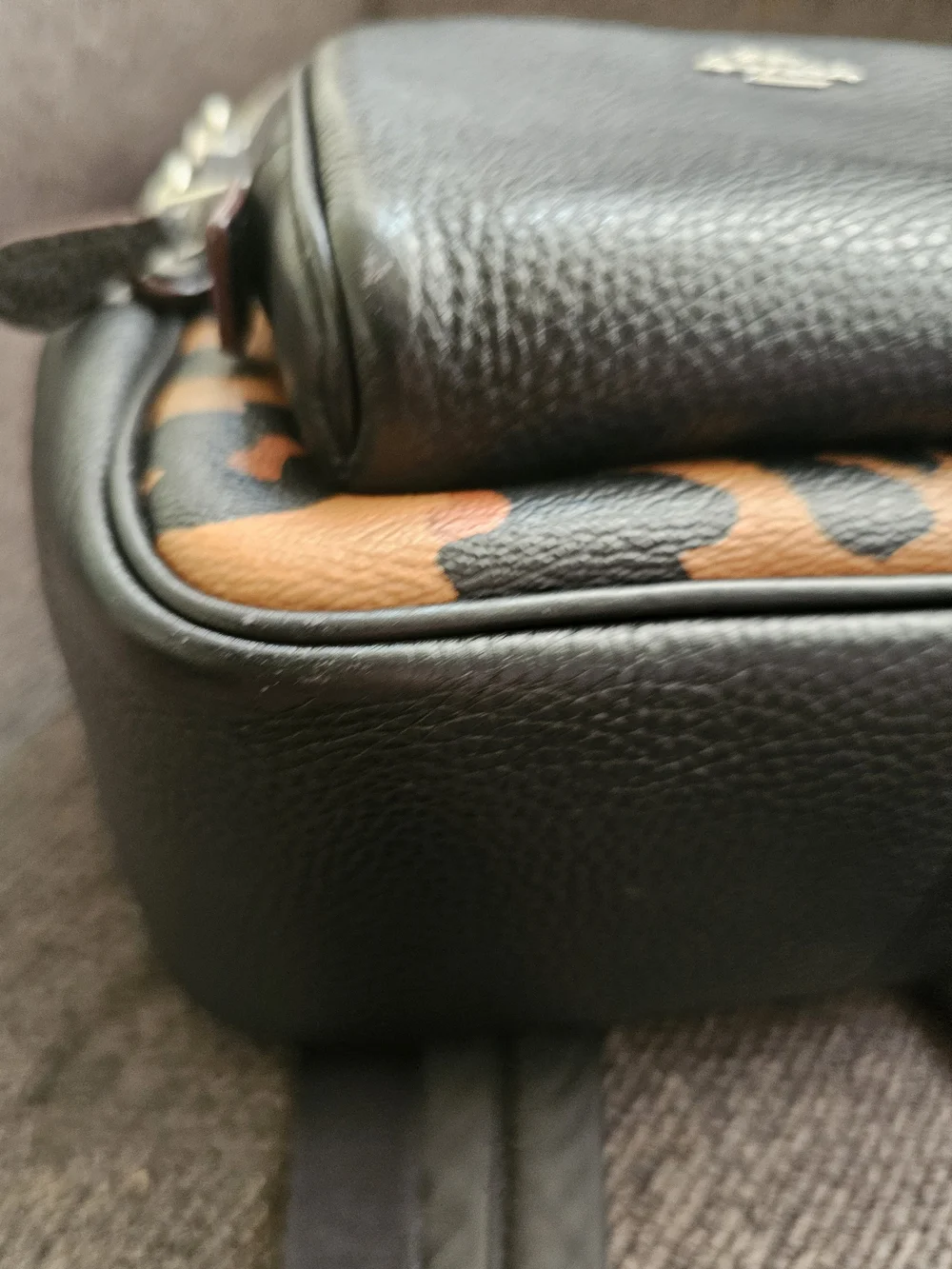 Coach stylish trim